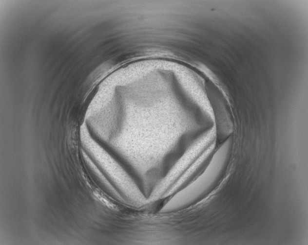 X0000078871001200612111709