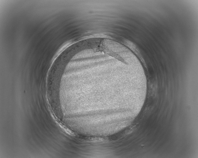 X0000078871002200612111709