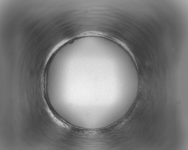 X0000078871003200612111709