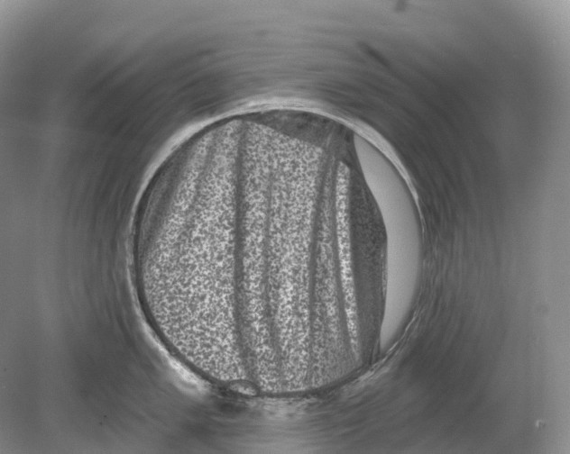 X0000078871005200612111709