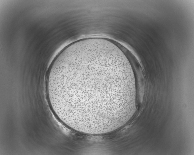 X0000078871006200612111709