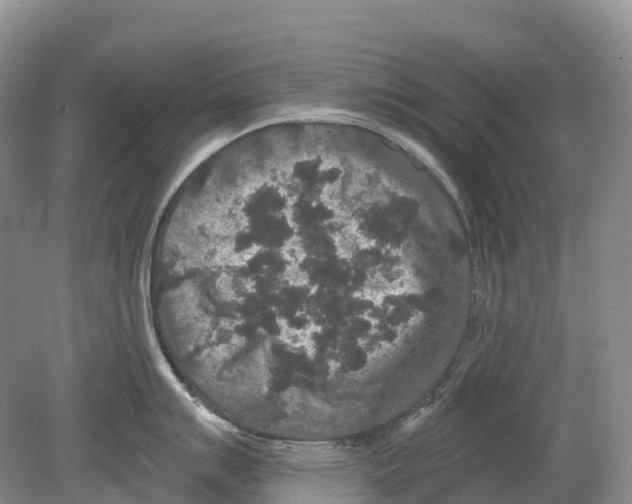 X0000078871007200612111709