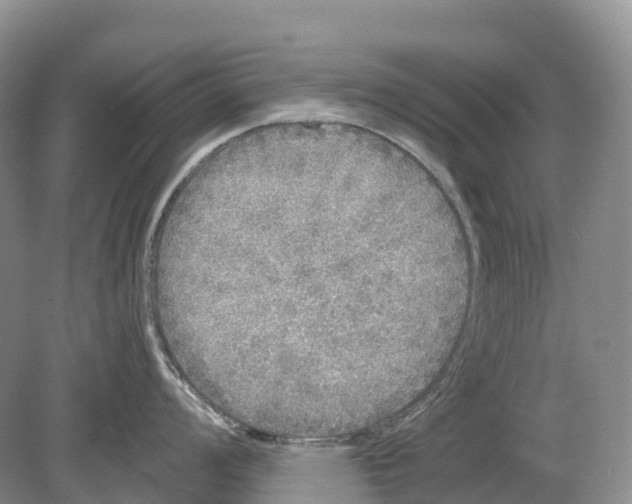 X0000078871008200612111709