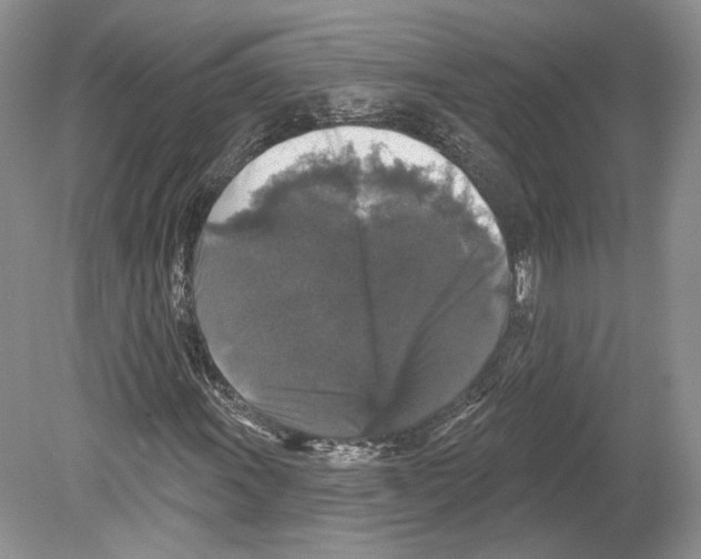 X0000078871011200612111708