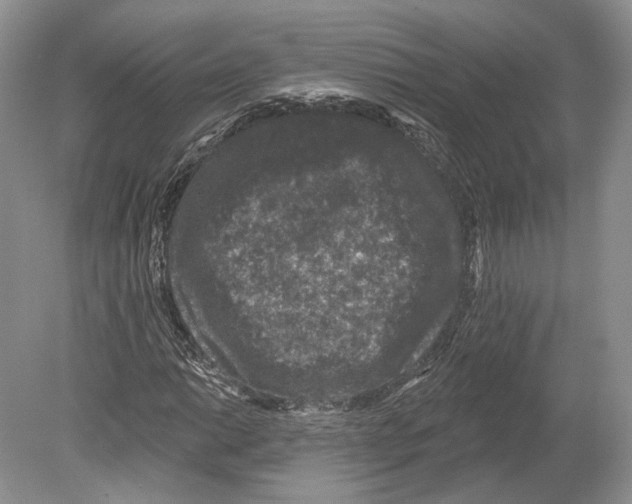 X0000078871014200612111708