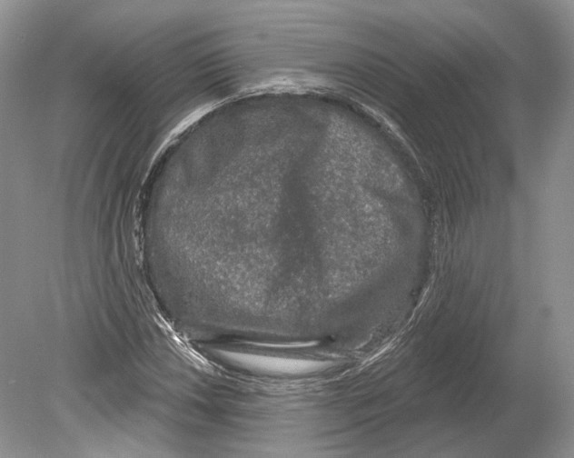 X0000078871018200612111708