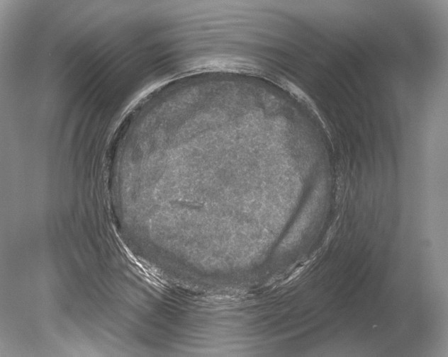 X0000078871019200612111708