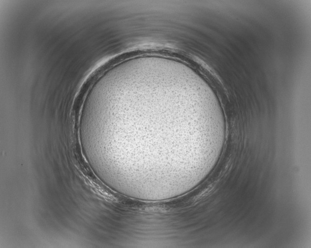 X0000078871021200612111708