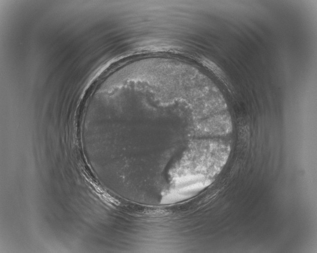 X0000078871023200612111708