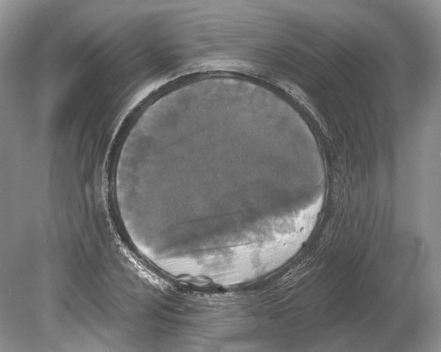 X0000078871024200612111708