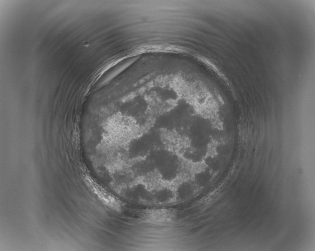 X0000078871025200612111708