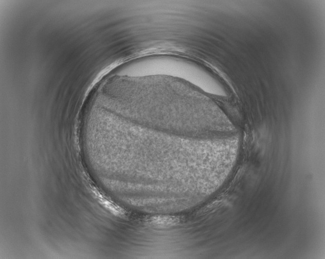 X0000078871026200612111708