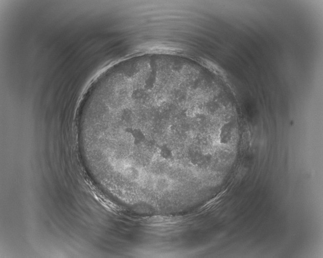 X0000078871027200612111708