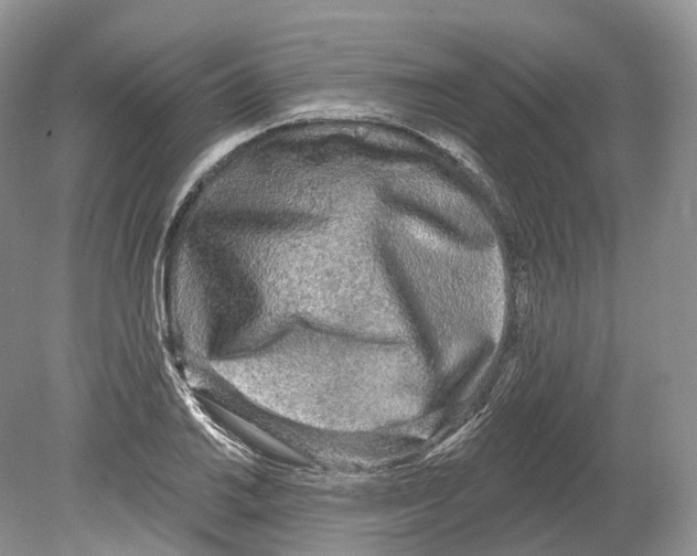 X0000078871030200612111708