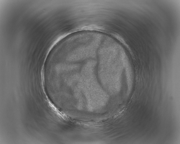 X0000078871032200612111708