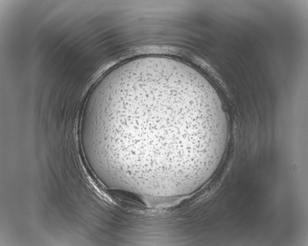 X0000078871033200612111708