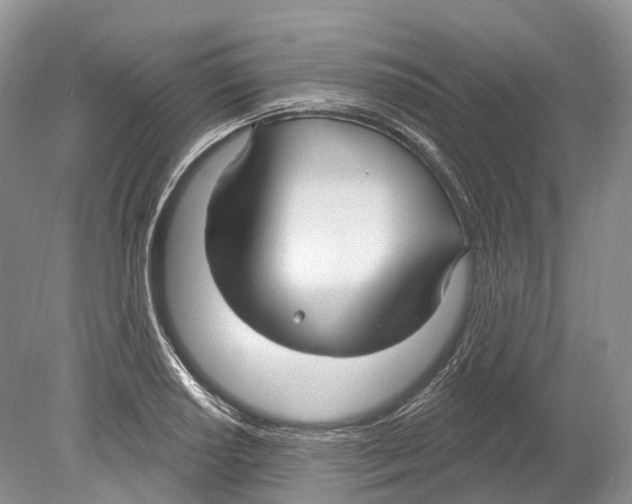 X0000078871034200612111708