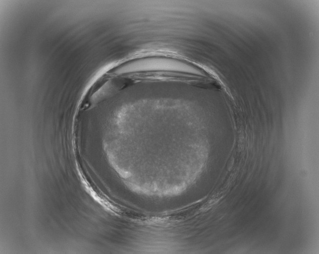 X0000078871038200612111708