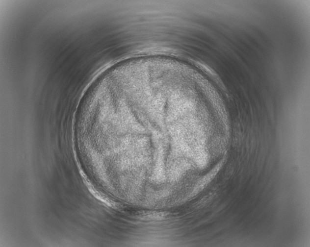 X0000078871039200612111708