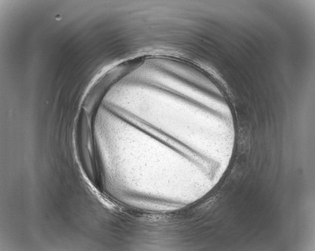 X0000078871040200612111708