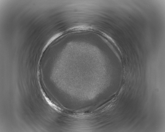 X0000078871042200612111708