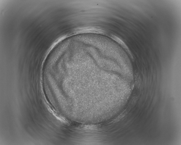 X0000078871043200612111708