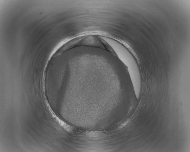 X0000078871046200612111708