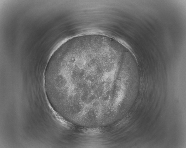 X0000078871047200612111708