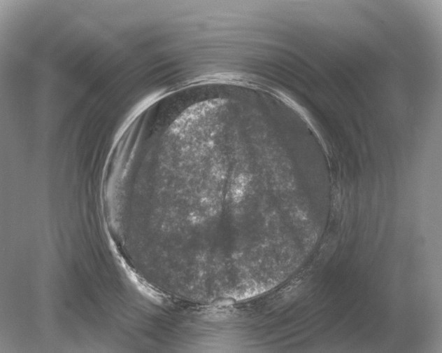 X0000078871050200612111708