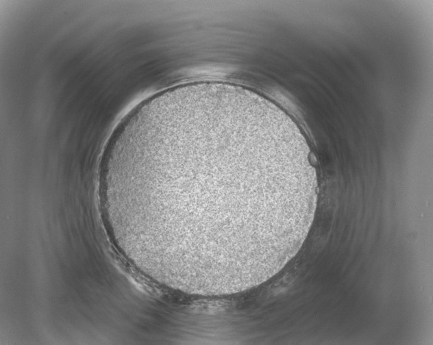 X0000078871051200612111708