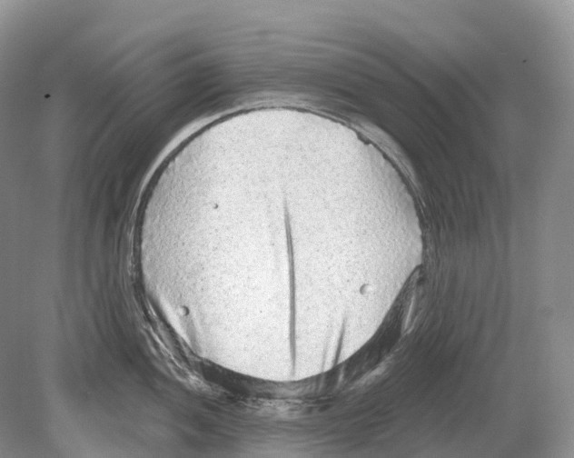 X0000078871052200612111708