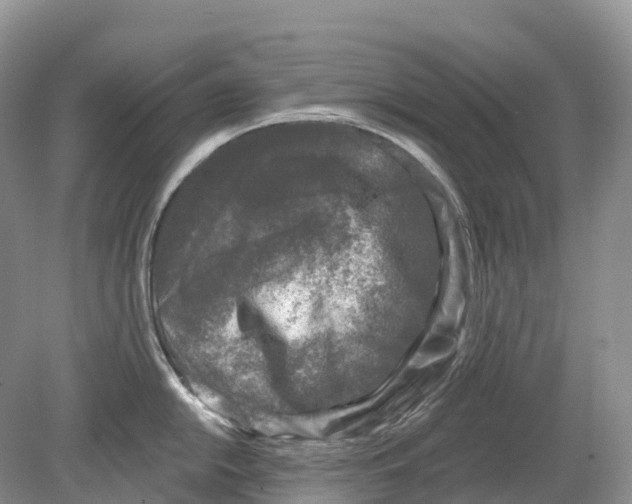 X0000078871054200612111708