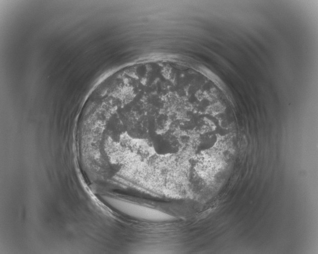 X0000078871055200612111708