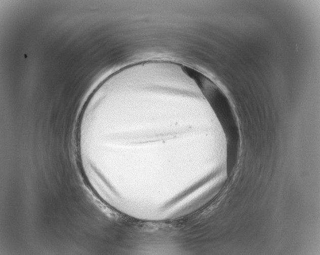 X0000078871056200612111709