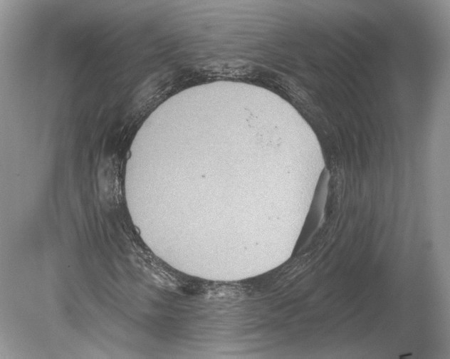 X0000078871058200612111708