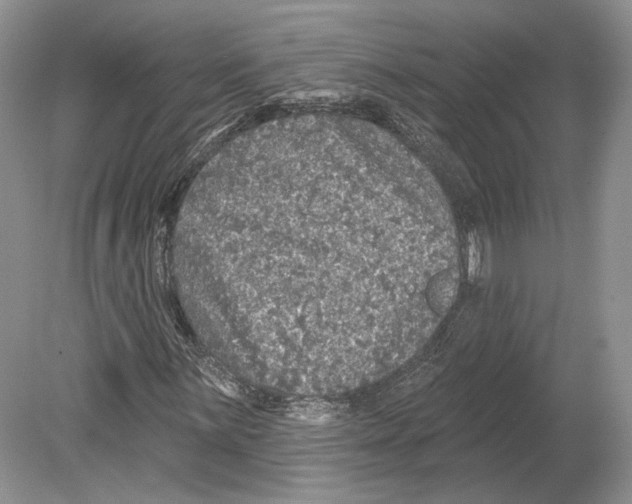 X0000078871059200612111708