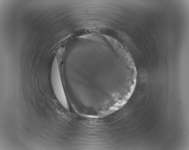 X0000078871060200612111708