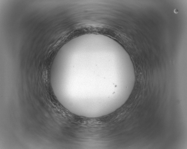 X0000078871061200612111708