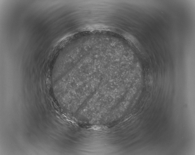 X0000078871063200612111708