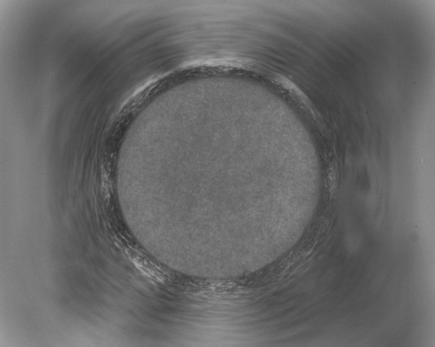 X0000078871064200612111708