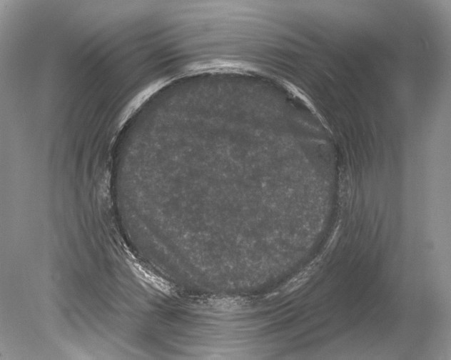 X0000078871066200612111708