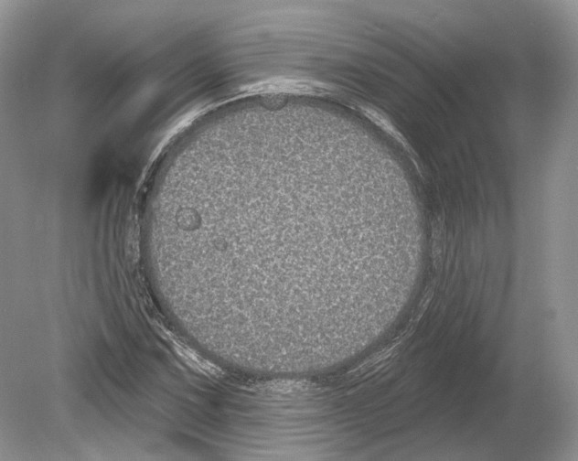 X0000078871067200612111708