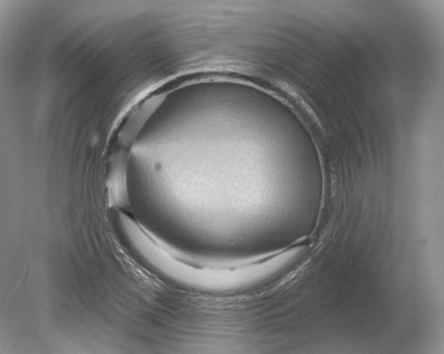 X0000078871069200612111708