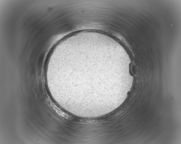 X0000078871072200612111707