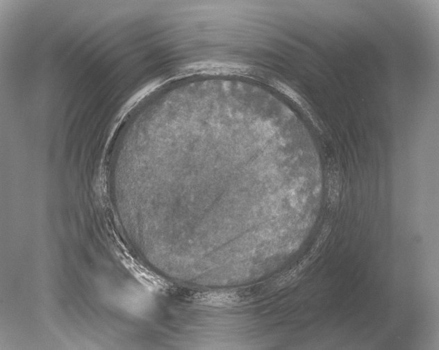 X0000078871074200612111707