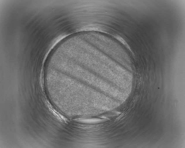 X0000078871076200612111707