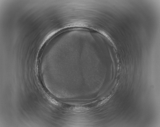 X0000078871077200612111707