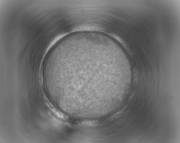 X0000078871078200612111707