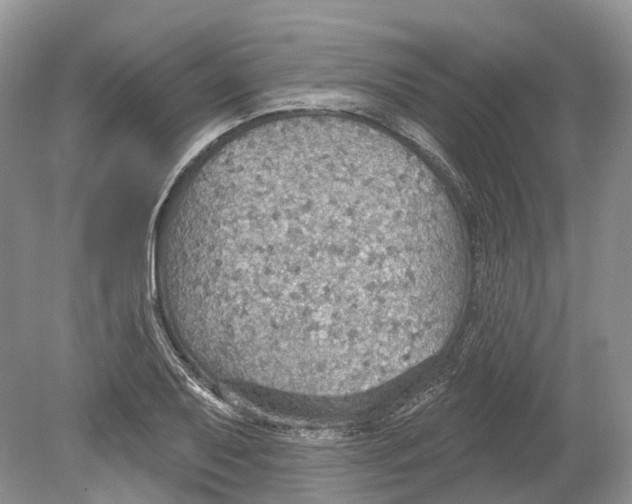 X0000078871079200612111707