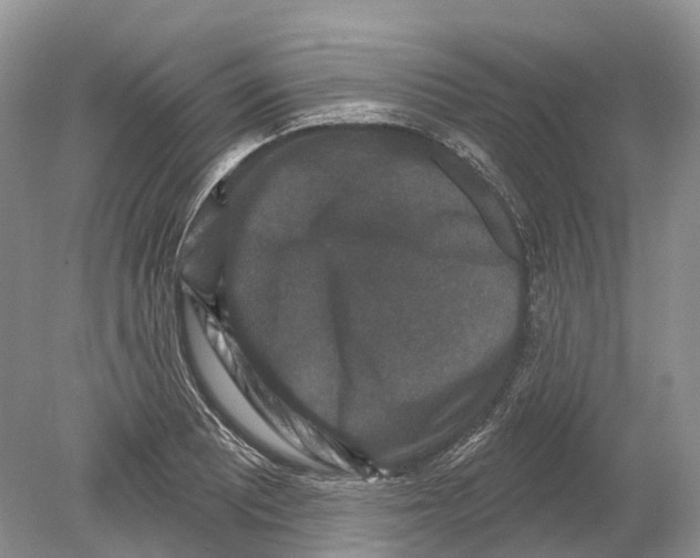 X0000078871081200612111707